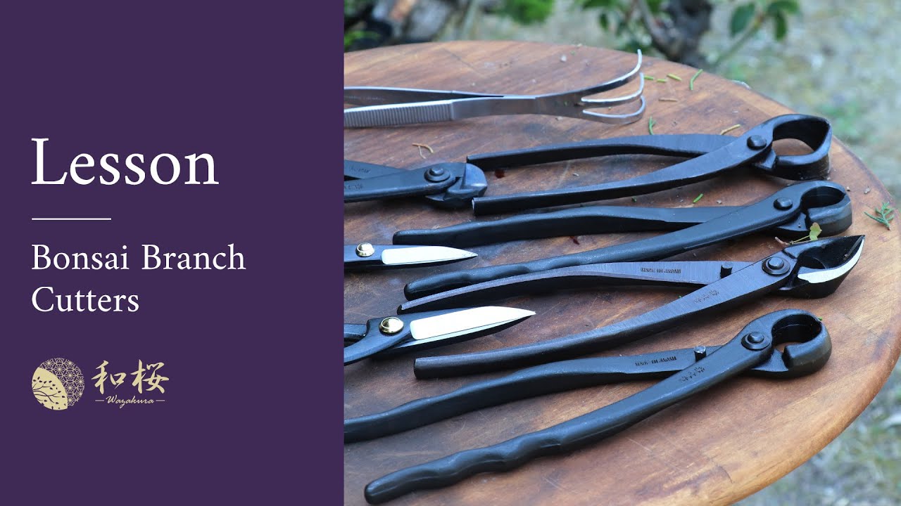 Hand Forged Bonsai Concave Branch Cutter, 165mm Round Edge