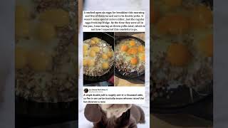 5 Out of 6 Eggs Were Double Yolks 🤔 #funny #memes #pets