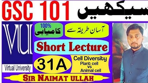 GSC101 Short Lecture 31A|Short Lecture 31|DIVERSITY|CELLS|Animal|Plant Cell|Prokaryotic|Eukaryotic.