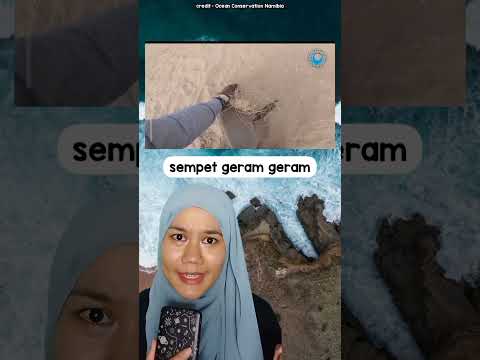 Video: Foto Bayi dan Penyelamatnya Go Viral