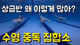 수영장 상급반에 사람 미어 터지는 이유