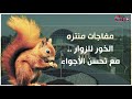 مفاجآت منتزه الخور للزوار مع تحسن الأجواء 