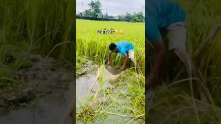 এই কেয়া হুয়া #funnyvideo #fishingfails #comedy #villagelife #fishing #funny #shortsvideo #reels