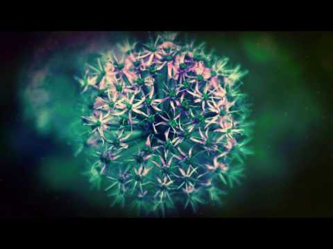 𝓂𝒶𝓇𝒾𝓃 𝒽𝑜𝓍𝒽𝒶 \u0026 𝒸𝒽𝓇𝒾𝓈 𝓁𝒾𝓃𝓉𝑜𝓃 - 𝓌𝒾𝓉𝒽 𝓎𝑜𝓊 (𝓈𝓁𝑜𝓌𝑒𝒹 + 𝓇𝑒𝓋𝑒𝓇𝒷)