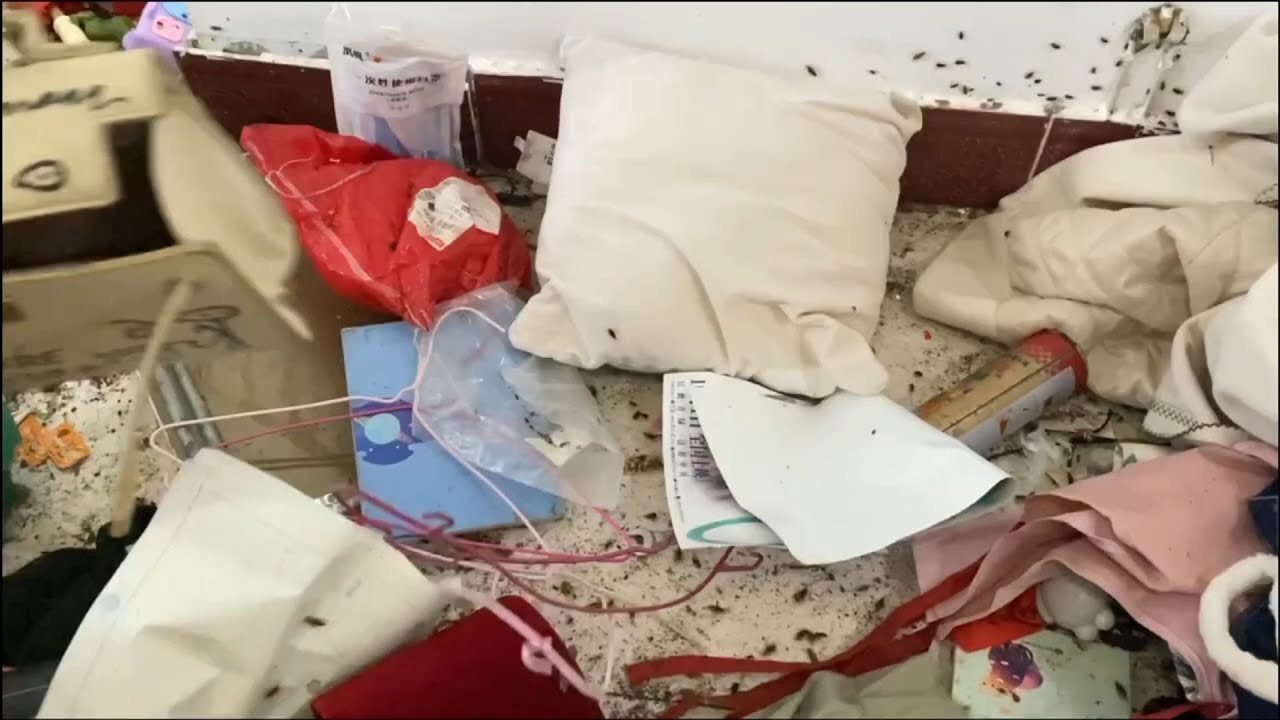 The landlord was forced to evict the house after the garbage piled up like a mountain.