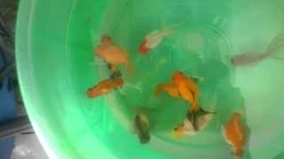 WP 20140810 002