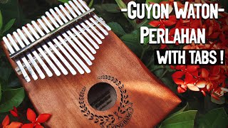 Guyon Waton - Perlahan Cover Kalimba with TABS