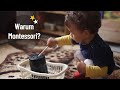 MONTESSORI LOVE: Warum Montessori Erziehung? | Was ist Montessori? | Montessori in der Familie