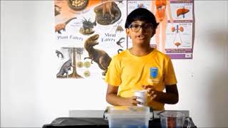 Does Air occupy space? #Science Experiment
