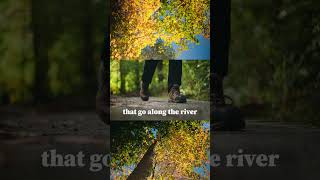 Add Mohican State Park to your next hiking spot