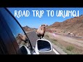 Camels on the road and exploring the Grand Bazaar in Urumqi