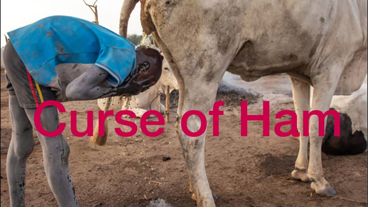 Curse of Ham YouTube