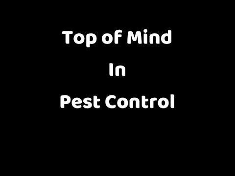 How to get new customers for your Pest Control Business - YouTube
