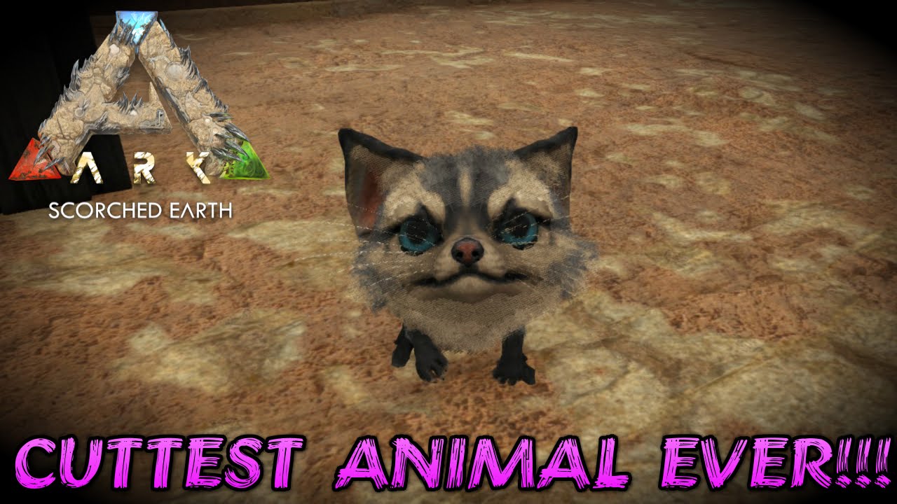 ARK:Scorched Earth EP2-CUTTEST ANIMAL EVER!!! - YouTube