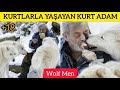 KURT ADAM KURTLARLA YAŞIYOR - Wolf Men +18