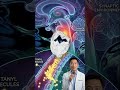 Fentanyl Explained: How a Single Signal Can Slow Breathing to Near Stop #clinixdose