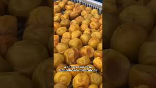 Receta De Umeboshi