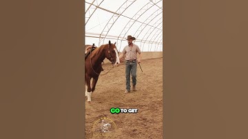 Mastering saddle Safety and Riding with Confidence. #reiningmasterclass #nrha #reining