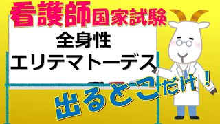 看護師国家試験出るとこだけ『全身性エリテマトーデス』#shorts