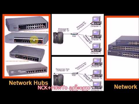 Basic Computer Networking & Internet Connectivity 3 - YouTube