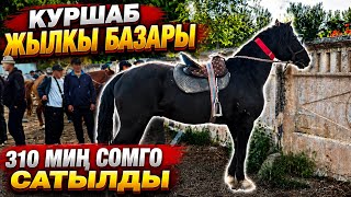 ЖЫЛКЫ БАЗАР УШУНДАЙ БОЛДУ 🤯 #байтв 