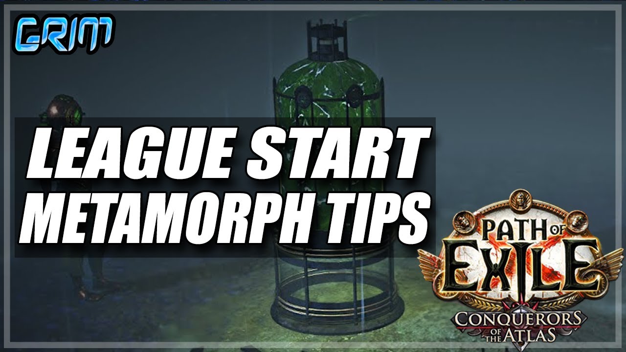 Metamorph Build Compiled List Of Streamer Starter Builds For Metamorph League – EFDYEQ