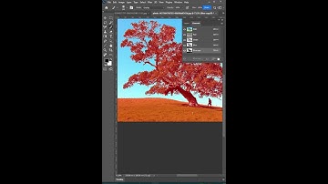 Remove Backgrounds - Short Photoshop Tutorial#viral #photoshop2.0