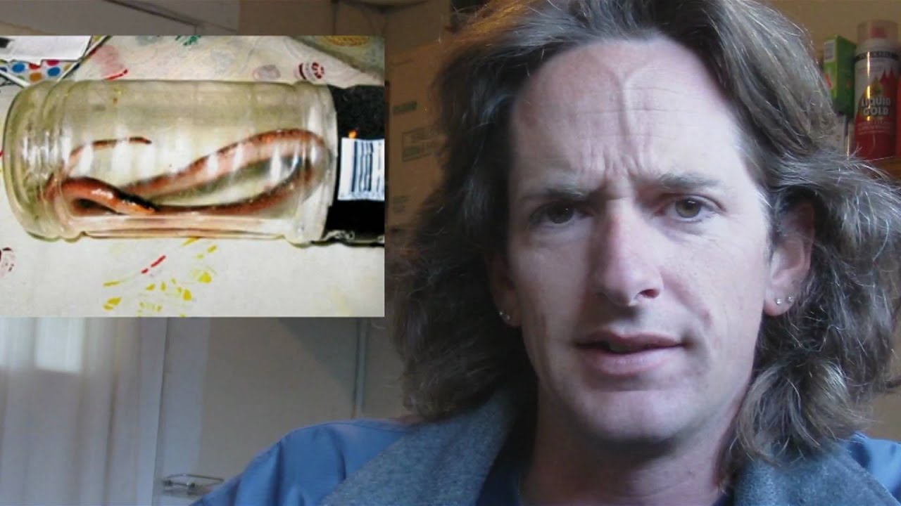 rattle meaning in english Reptile News: Steve Irwin in the news again