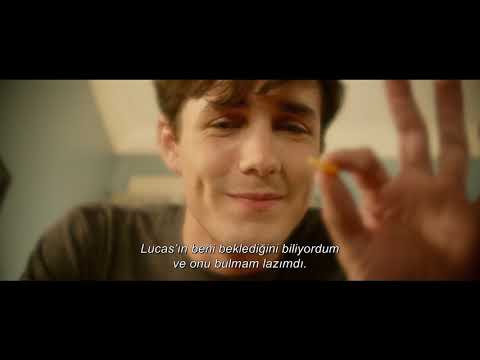 Sadık Dostum / A Dog's Way Home Türkçe Altyazılı Fragman