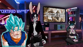 Vrchat Normie Meets Furries 1 - The Beginning