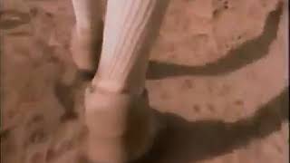 In Search of Human Origins, Part One