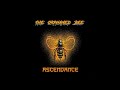 The Orphaned Bee - Ascendance (Official Audio)