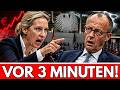 Merz unter DRUCK: Weidel fordert RÜCKTRITT – und selbst die CDU wird UNRUHIG!