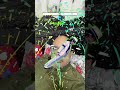 TikTok Filter Challenge #shorts #mrbeast #unitedstates #usa #ytshorts #uk #viral #kids 31/5/26/8