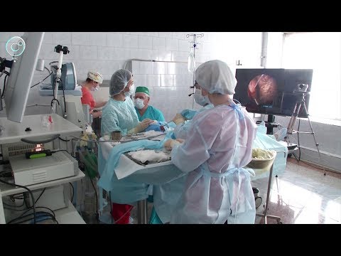 Рубрика "PRO здоровье": современные методы лечения ЛОР-заболеваний