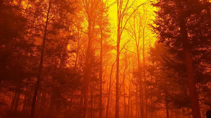 Wildfires in Tennessee force thousands to leave