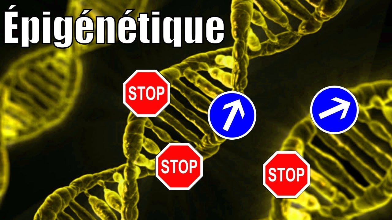 Il n'y a pas que les gènes dans la vie ! L'épigénétique, avec P'tite Jane