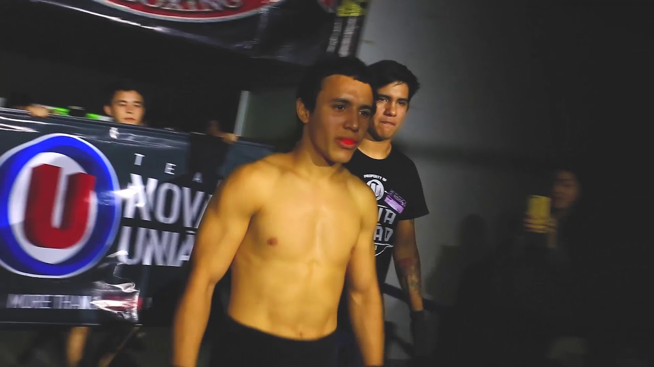 Duelo de Honor II (compilado)