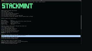 Stackmint Gateway Demo: Open-Source Runtime Governance for AI Agents