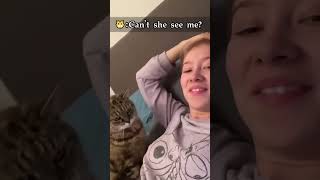I pretend I don’t see my cat 🤫🤫🤫