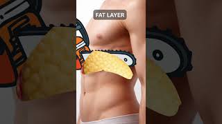 What’s REALLY Inside Your Diaphragm? 😳