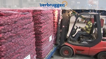 Palletizing | Automatic Palletizer machine VPM-14 by Verbruggen | Perfect stacking of onions