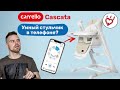 Carrello Cascata умный стульчик для кормления.Новинка детский стул Каррелло Каската обзор