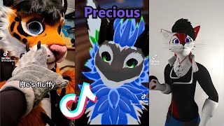 Furry Tiktok's That Remind Me You're Cute
