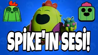 SPİKE'IN BİLİNMEYEN SESİ! Brawl Stars Resimi