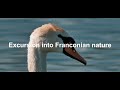 Excursion into Franconian nature 4K