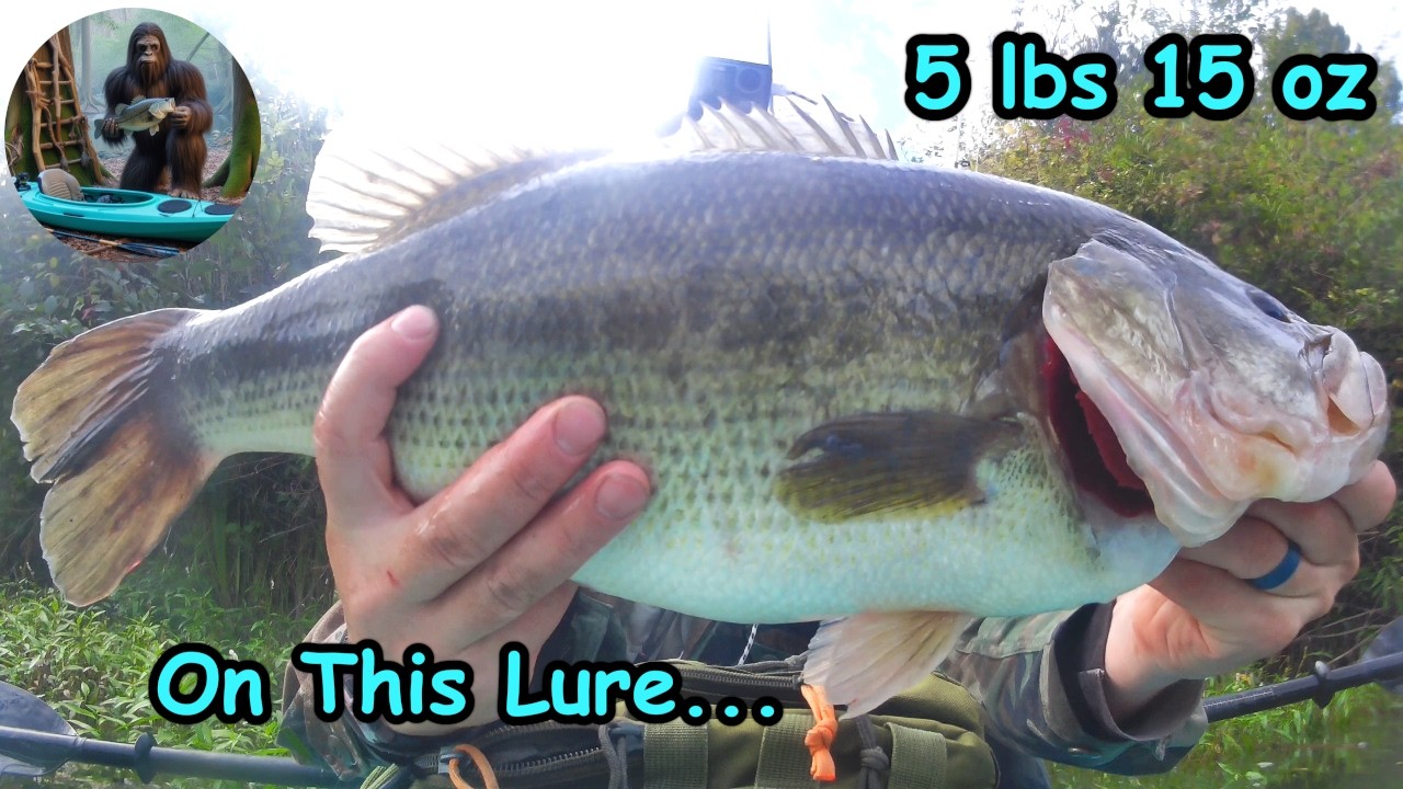 Two Topwater Bass! | Kayak Bass Fishing