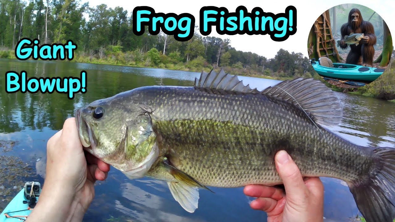 Bass fishing with a frog! | Biggest BLOWUP of the year so far!