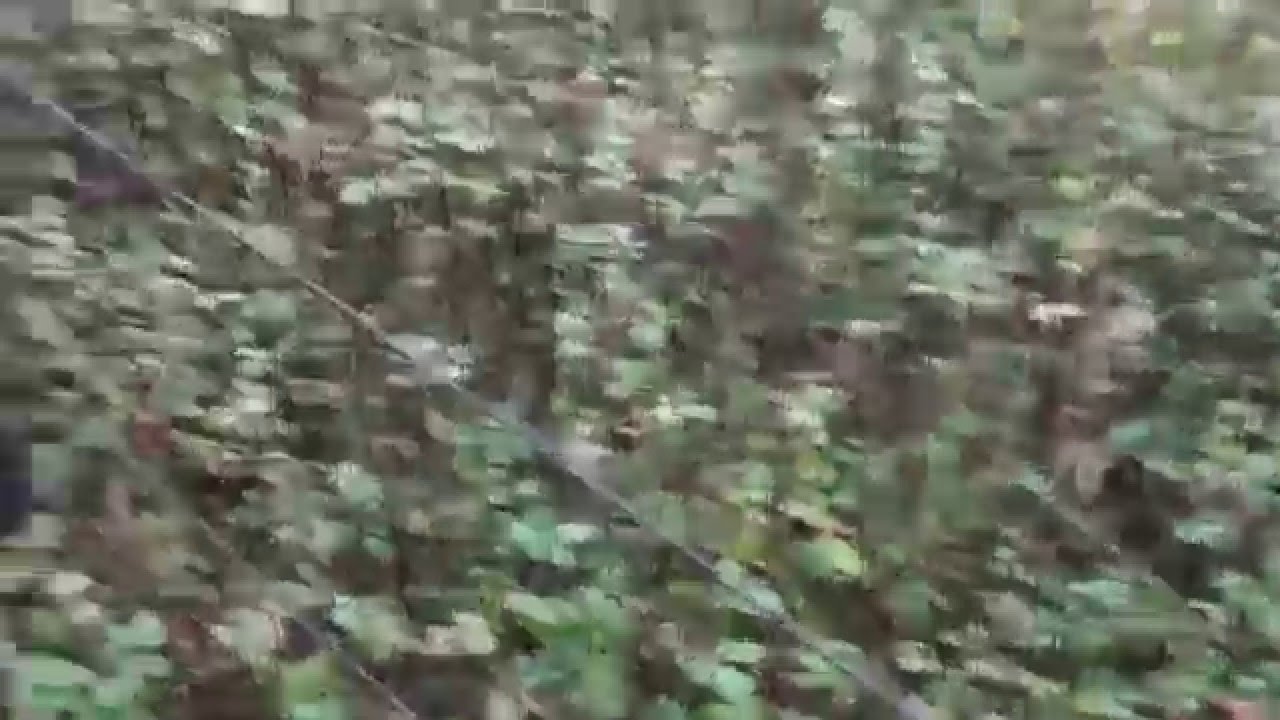 Dover Borstal Social club