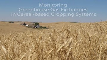 Monitoring - Eddy Covariance Flux Towers